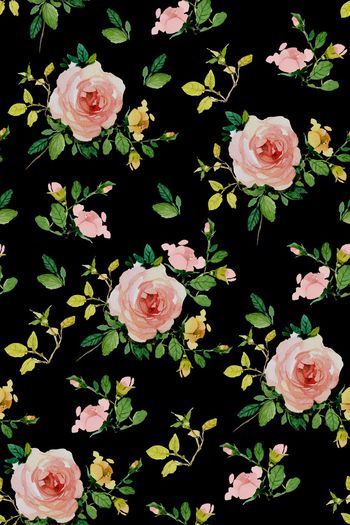 870467-20170612 月季