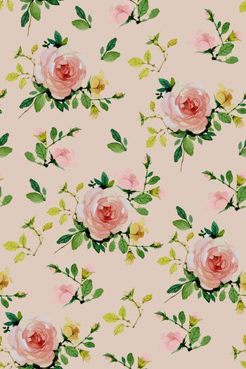 870471-20170612 月季-2