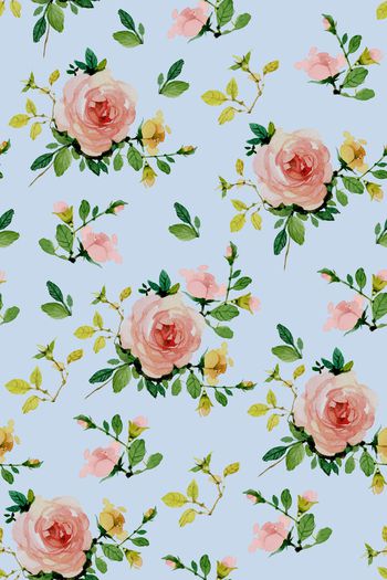 870472-20170612 月季-3