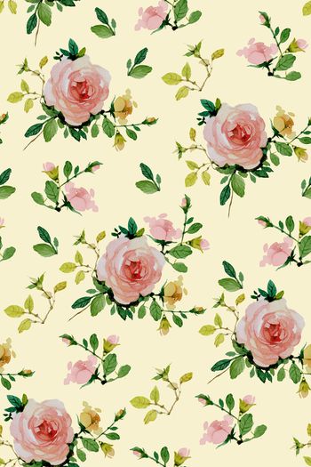 870473-20170612 月季-4