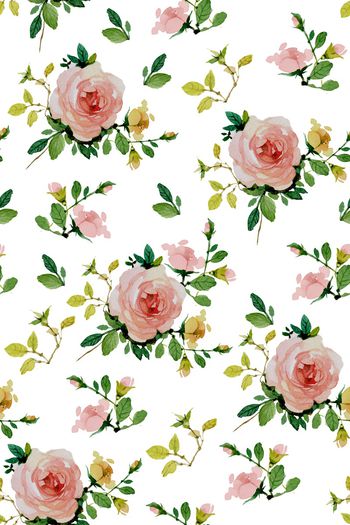 870474-20170612 月季-5