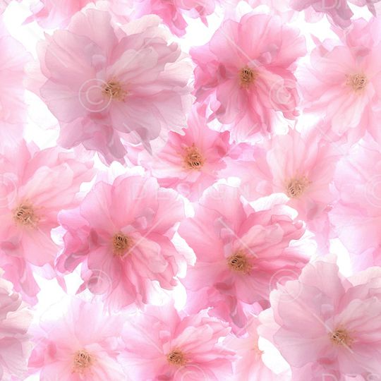 大花印花华亿平台图片