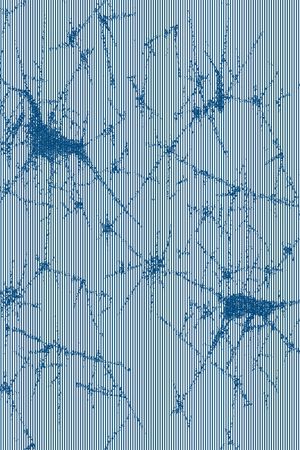 条纹印花华亿平台图片