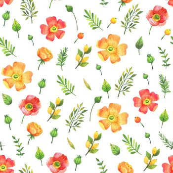 870543-20170613 freepic 