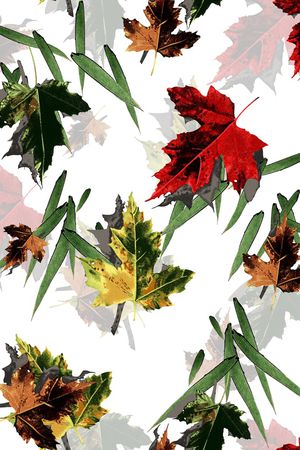 叶子印花华亿平台图片