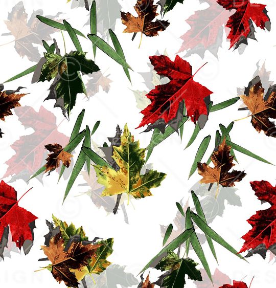 叶子印花华亿平台图片