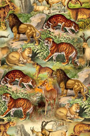 风景印花华亿平台图片