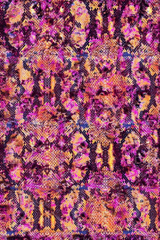 蛇纹印花华亿平台图片