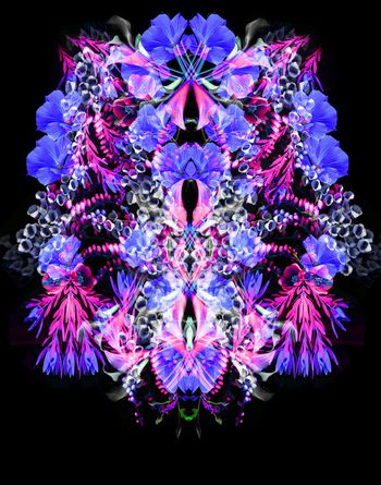 871650-夢幻數碼花卉位置 -1