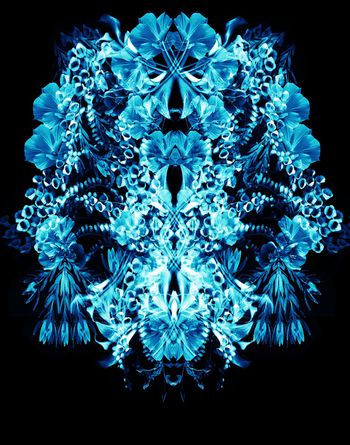 871651-夢幻數碼花卉位置-2