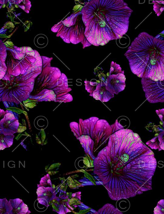 三色堇印花华亿平台图片