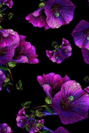 三色堇印花华亿平台图片