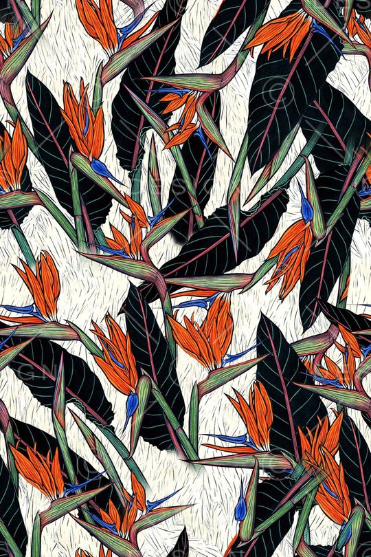 天堂鸟印花华亿平台图片