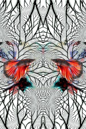 动物迷彩印花华亿平台图片