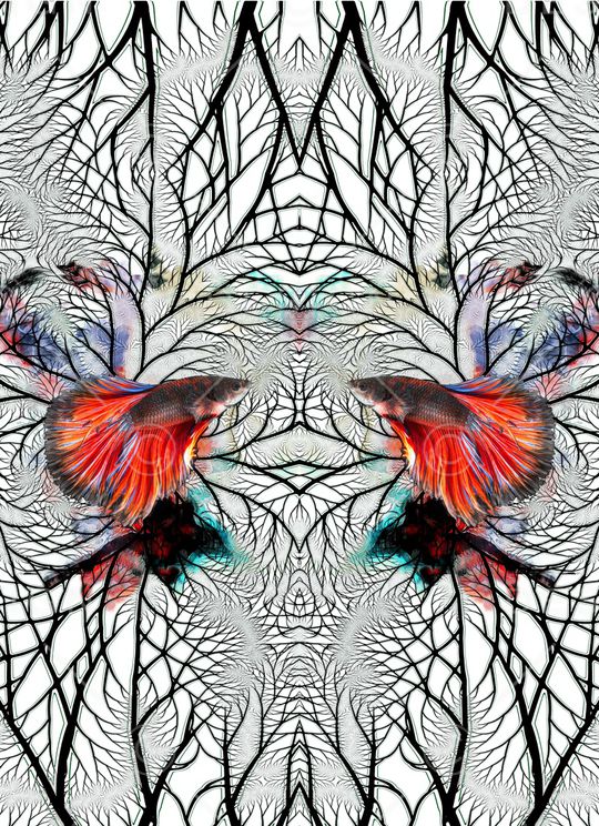 动物迷彩印花华亿平台图片