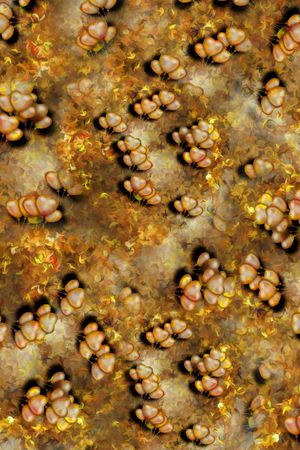 牡丹印花华亿平台图片