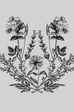 乱花印花华亿平台图片