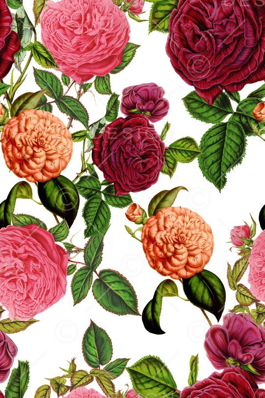 玫瑰印花华亿平台图片