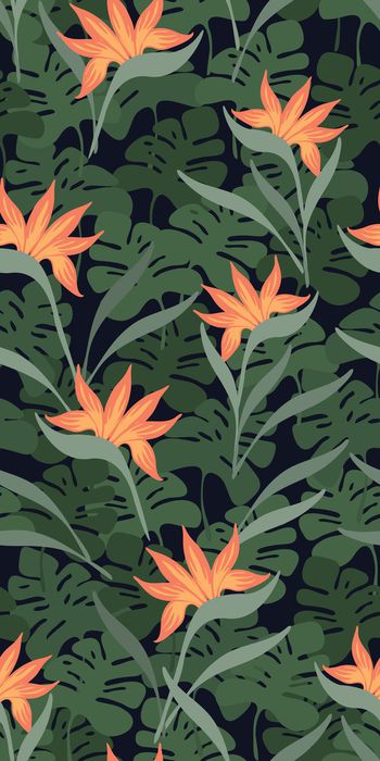 872370-20170615 热带雨林