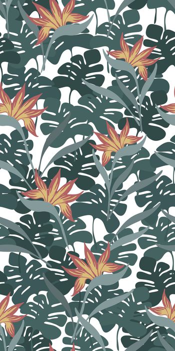 872371-20170615 热带雨林-1