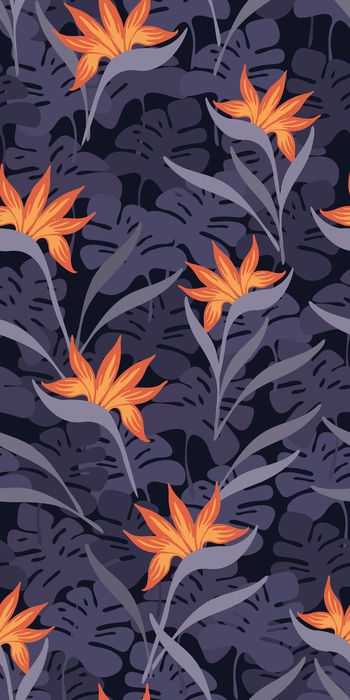 872373-20170615 热带雨林-2