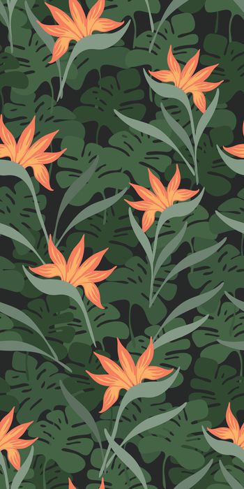 872374-20170615 热带雨林-3