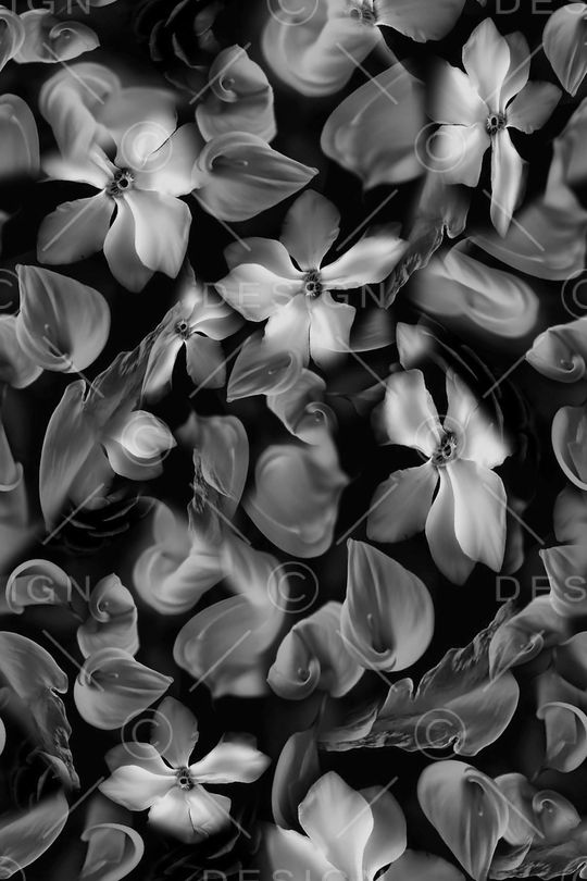 猩红印花华亿平台图片