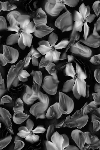 872441-FLZ17-6-30....