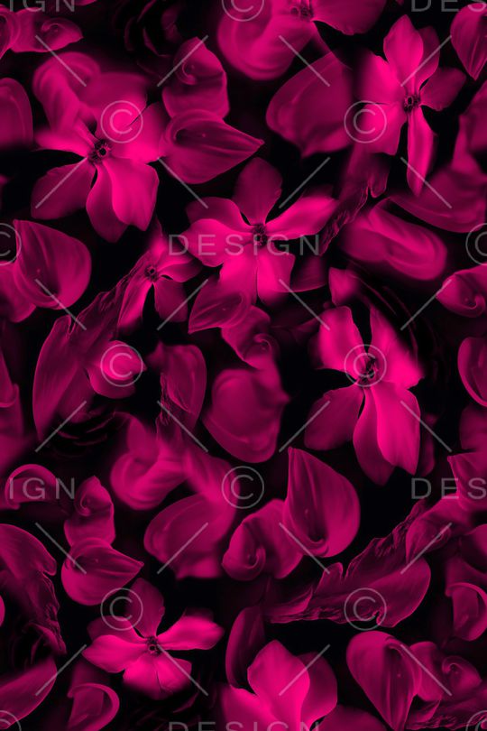 猩红印花华亿平台图片