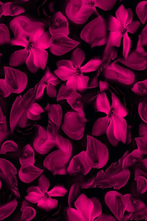 猩红印花华亿平台图片