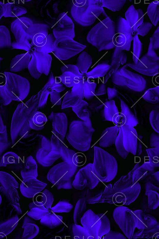 猩红印花华亿平台图片