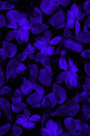 猩红印花华亿平台图片