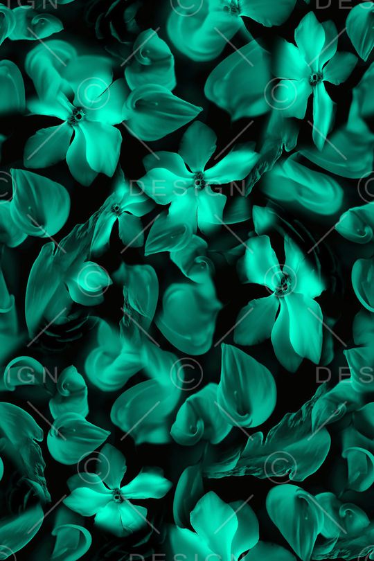 猩红印花华亿平台图片