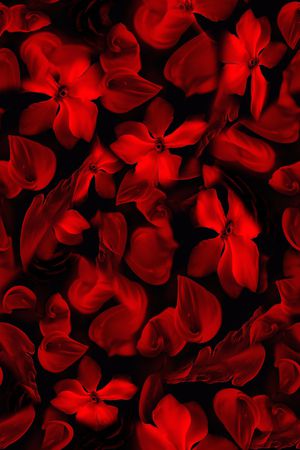 猩红印花华亿平台图片