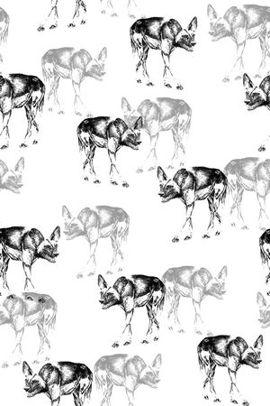 狗狗印花华亿平台图片