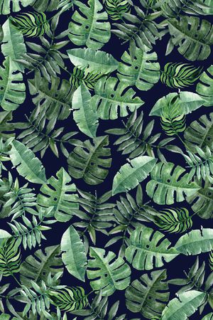 棕榈叶印花华亿平台图片