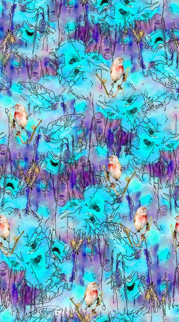 872880-红花与小鸟1