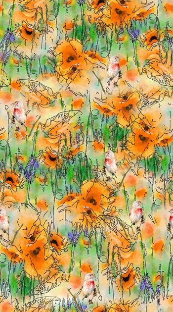 872888-红花与小鸟2