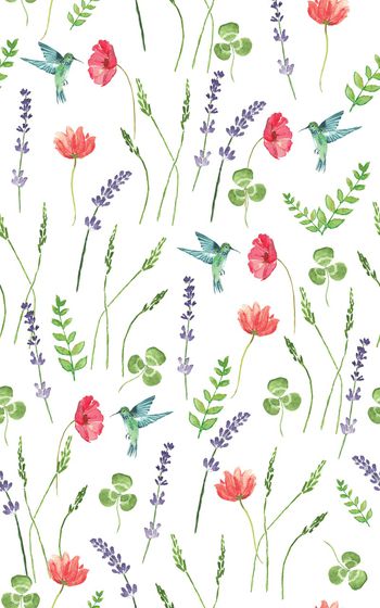 873061-20170616 水彩蜂鸟薰衣草