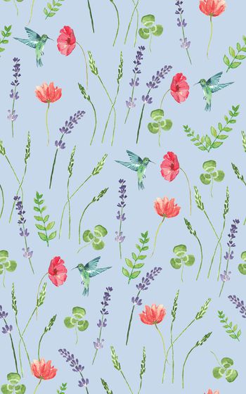 873064-20170616 水彩蜂鸟薰衣草-