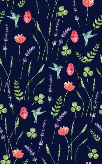 873068-20170616 水彩蜂鸟薰衣草-