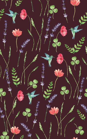 873069-20170616 水彩蜂鸟薰衣草-