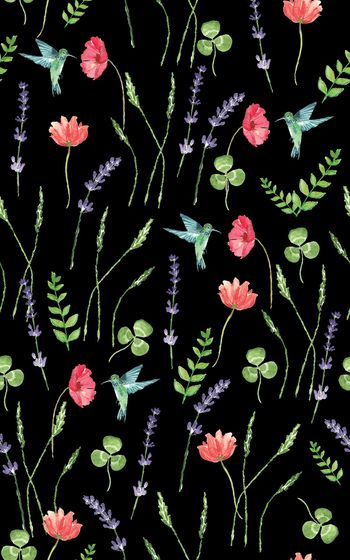 873070-20170616 水彩蜂鸟薰衣草-