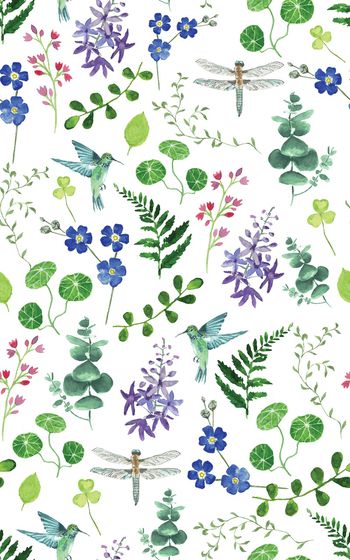 873588-20170617 水彩 植物 鸟 