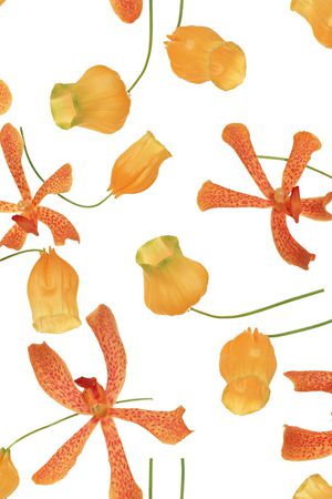 花朵印花华亿平台图片