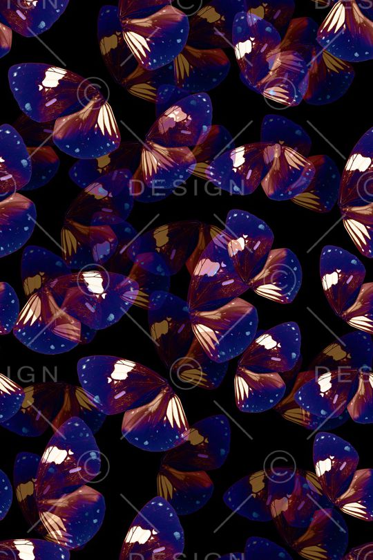 玉兰花印花华亿平台图片