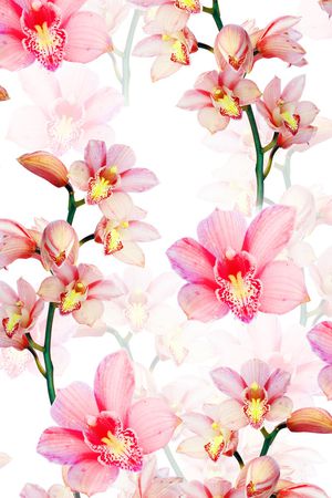 绿叶印花华亿平台图片