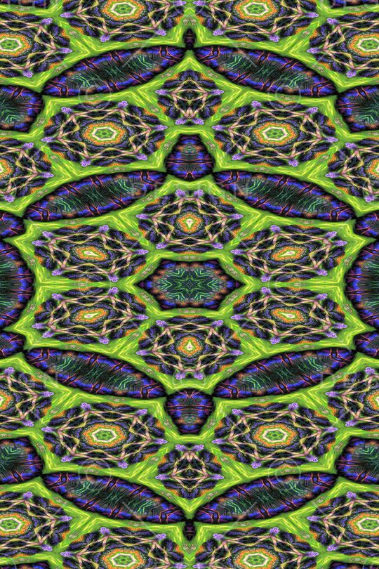 女装印花华亿平台图片