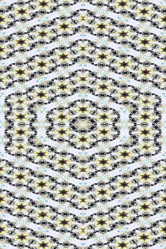 女装印花华亿平台图片