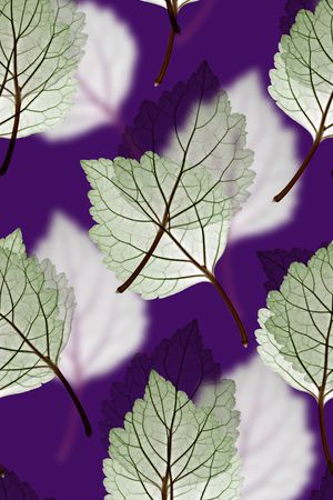 抽象手绘水彩画植物纹理花卉数码印花印花华亿平台图片